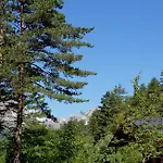 Camping Pineta Camping *