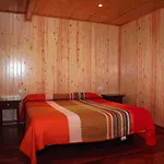 Camping Camping Pineta *