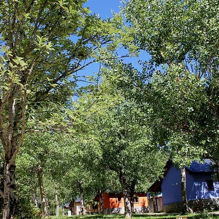 Кемпинг Camping Pineta *