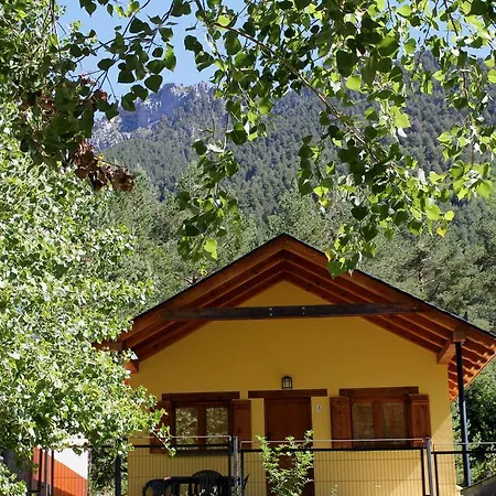 Camping Pineta