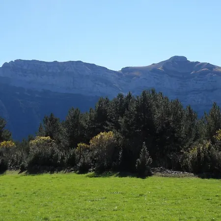 Кемпинг Camping Pineta Бьельса