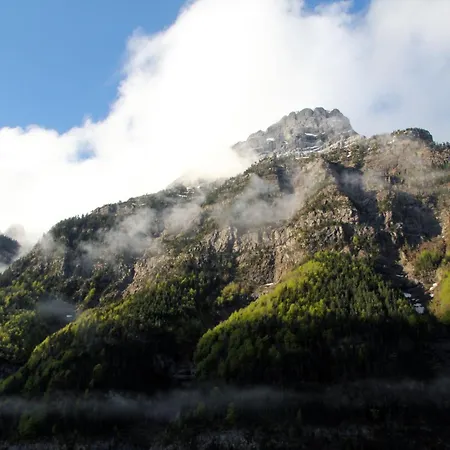 Кемпинг Camping Pineta *