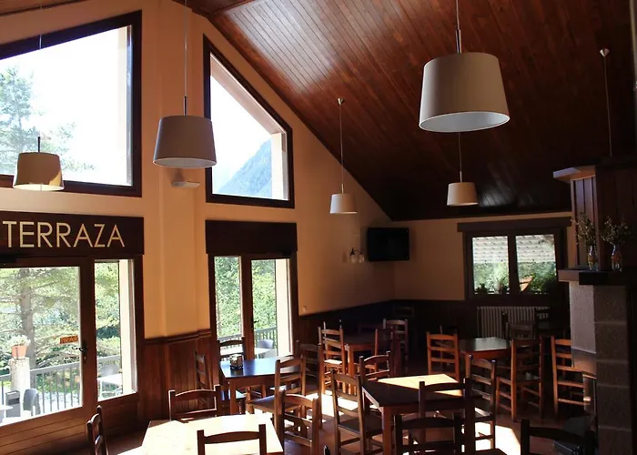 Camping Pineta Camping