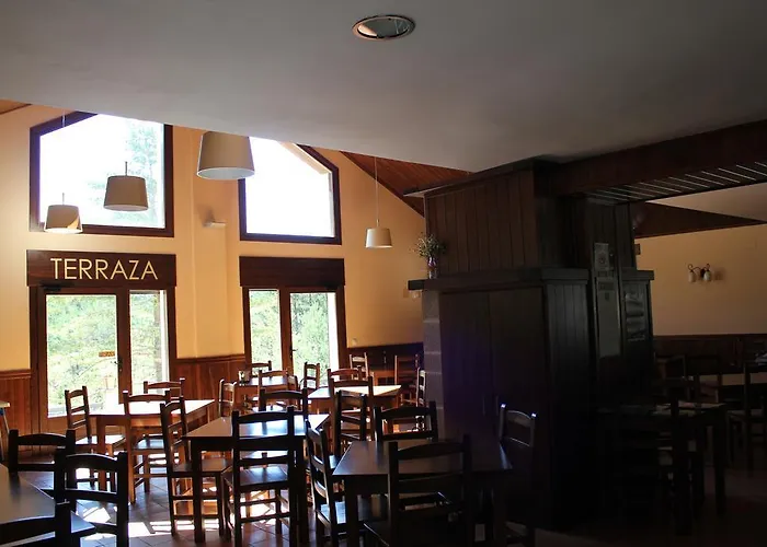 Camping Camping Pineta *