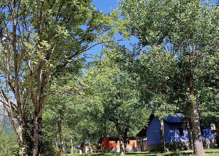 Camping Camping Pineta *