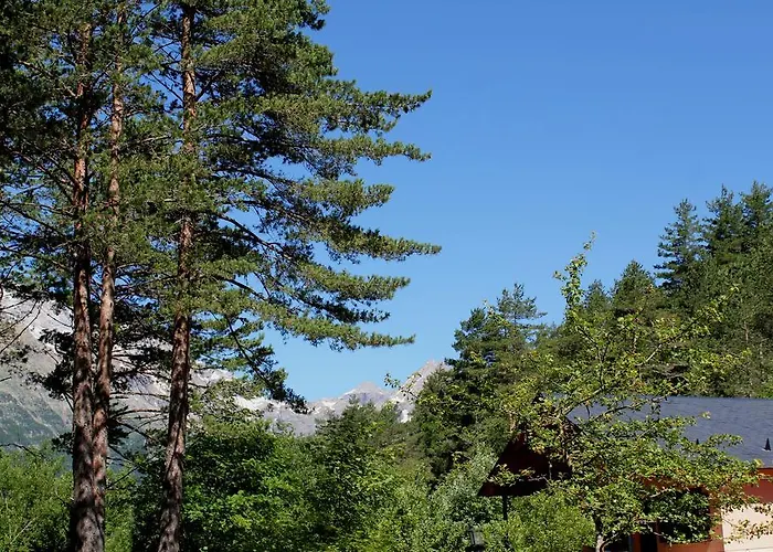 Camping Pineta Campingplads *