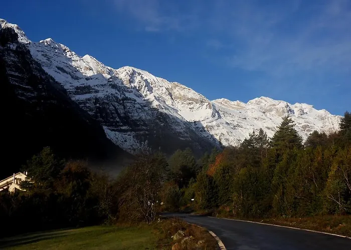 Camping Camping Pineta *