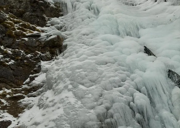 Camping Pineta Bielsa