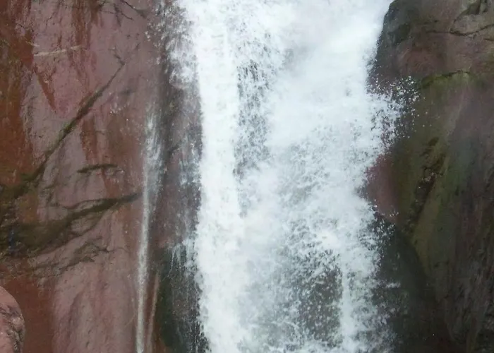 Campingplads Camping Pineta *