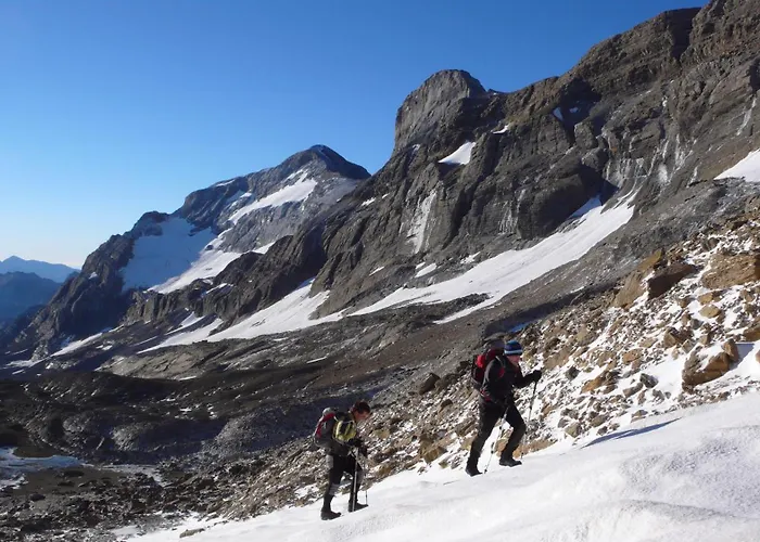 Camping Camping Pineta Bielsa