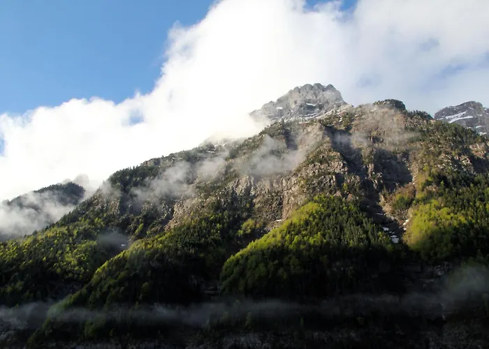 Camping Camping Pineta *