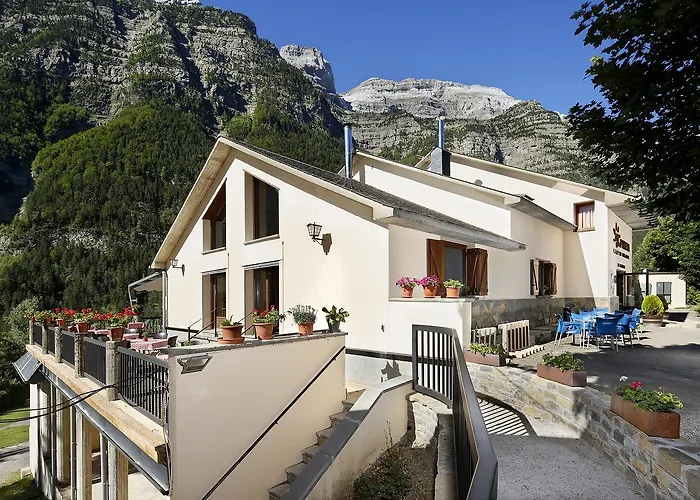 Camping Pineta Camping